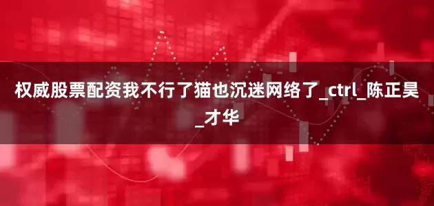 权威股票配资我不行了猫也沉迷网络了_ctrl_陈正昊_才华