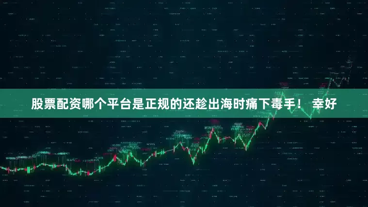 股票配资哪个平台是正规的还趁出海时痛下毒手！ 幸好