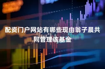 配资门户网站有哪些现由翁子晨共同管理该基金